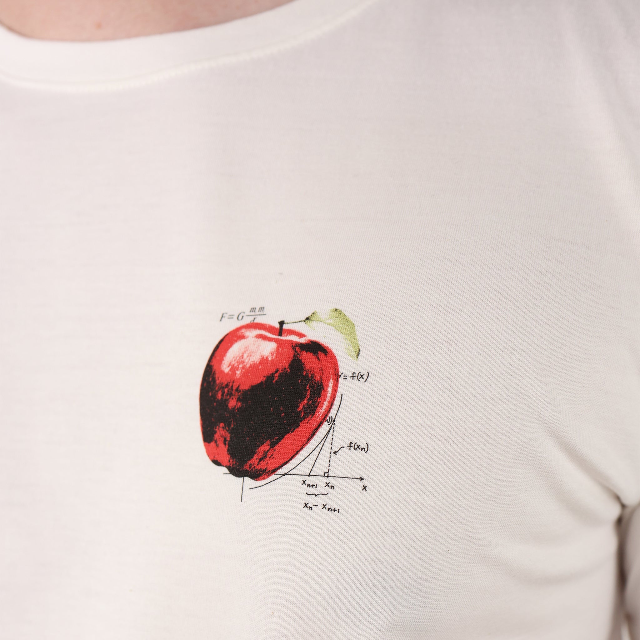 Camiseta Isaac Newton