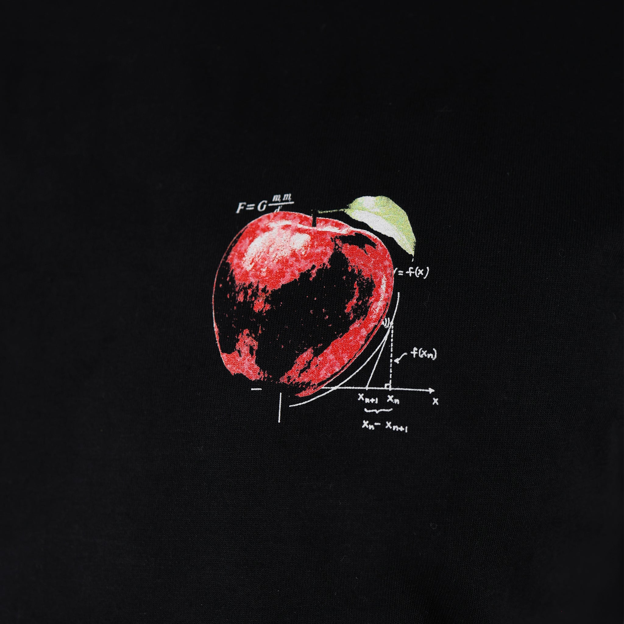 Camiseta Isaac Newton