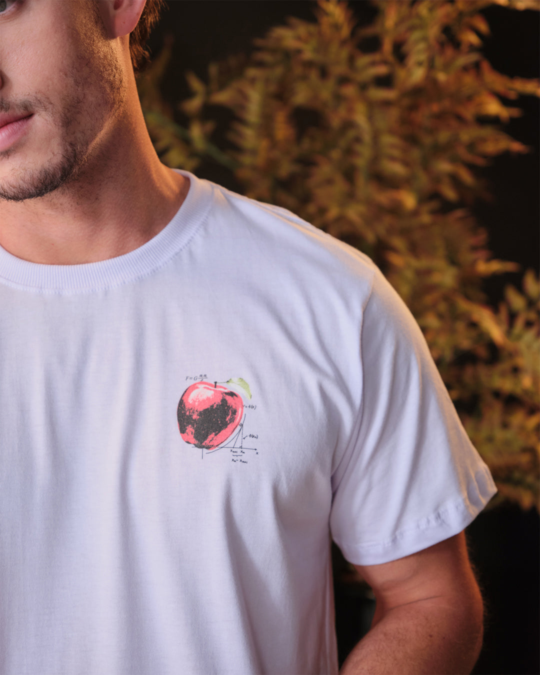 Camiseta Isaac Newton